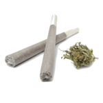 Buy Gelato Pre-roll joint