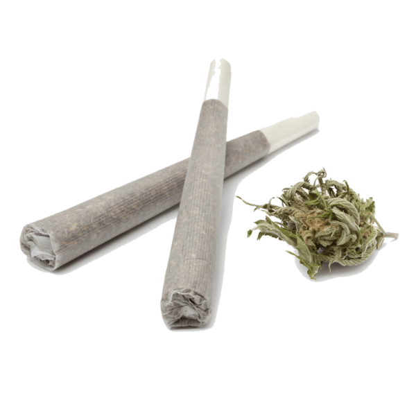 Buy Gelato Pre-roll joint