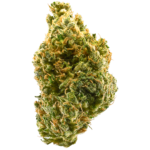 buy Tangie online bulgaria