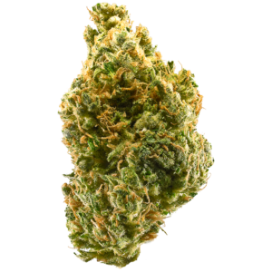 buy Tangie online bulgaria