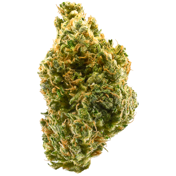 buy Tangie online bulgaria