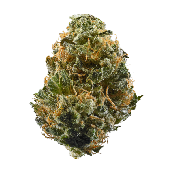 buy Haze online