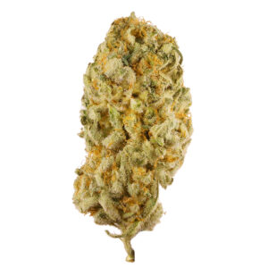 buy Jack Herer online bulgaria